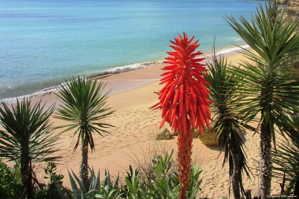 Holiday Inn ALGARVE - ARMACAO DE PERA (Armação de Pêra, Silves)